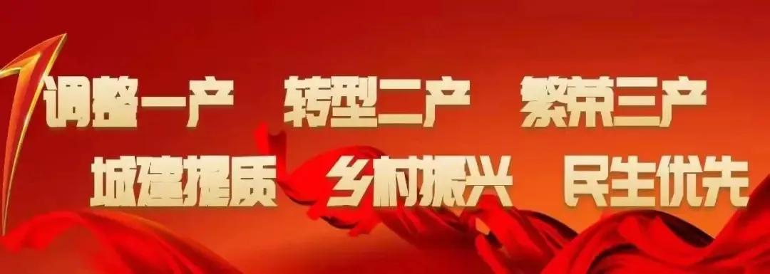 全球疫情死亡人数，公共卫生危机的沉重代价