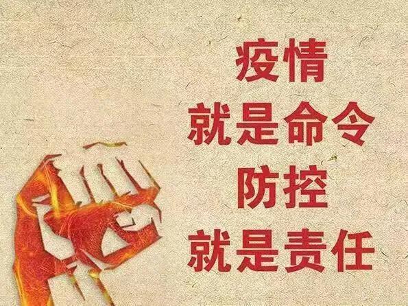 新冠疫情时间轴，全球公共卫生挑战与应对之路