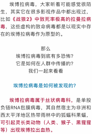 全球公共卫生挑战，疫情致死率高，应对策略需加强