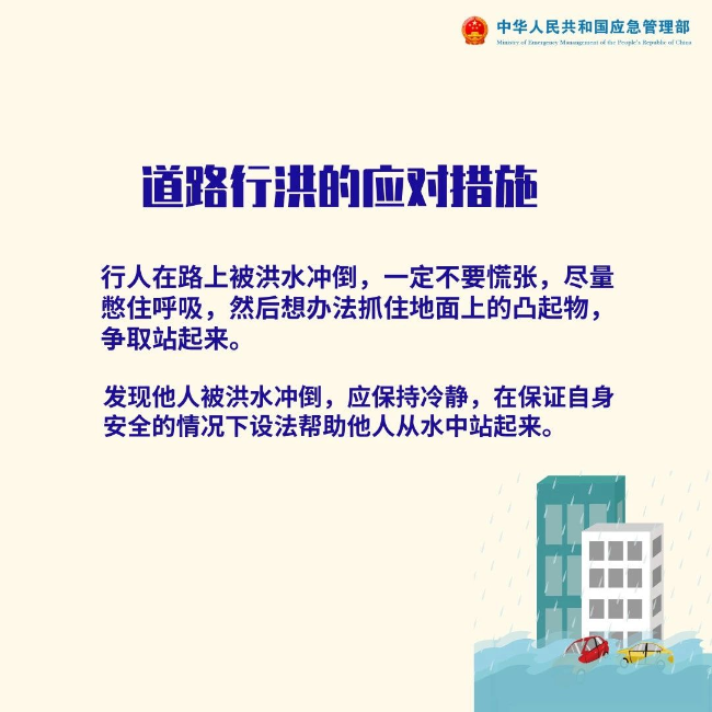 全球公共卫生挑战与应对策略，应对疫情的挑战