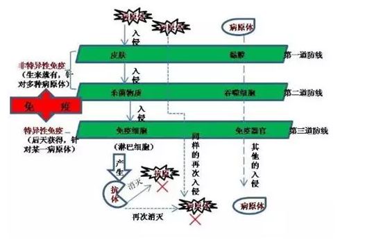 2000年的病毒，SARS的肆虐与全球公共卫生体系的挑战