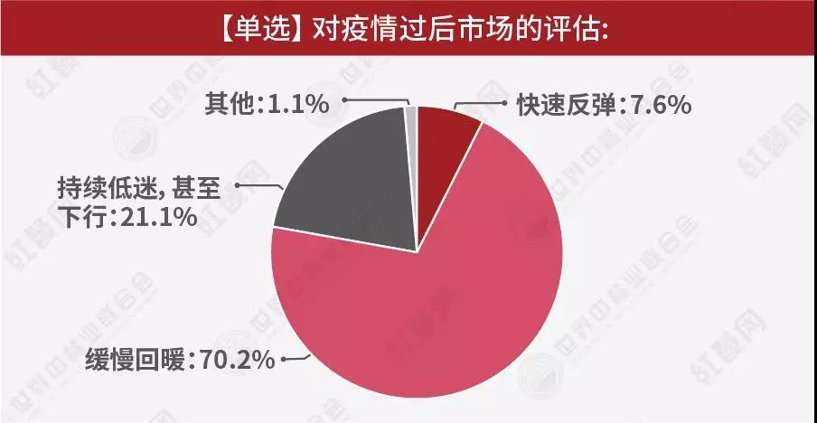 中国疫情年份，2020年的挑战与应对