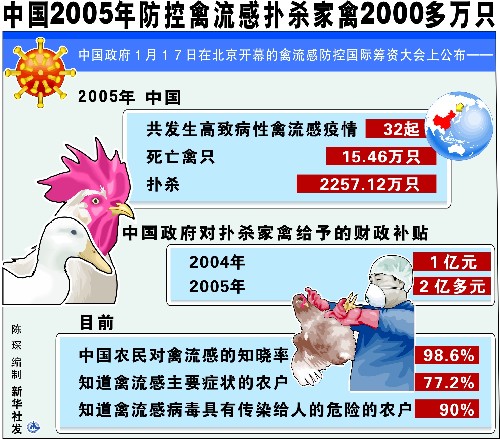 2005年，肆虐全球的禽流感病毒