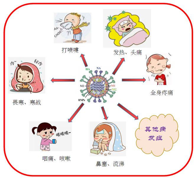 流感病毒会通过物品传播吗？