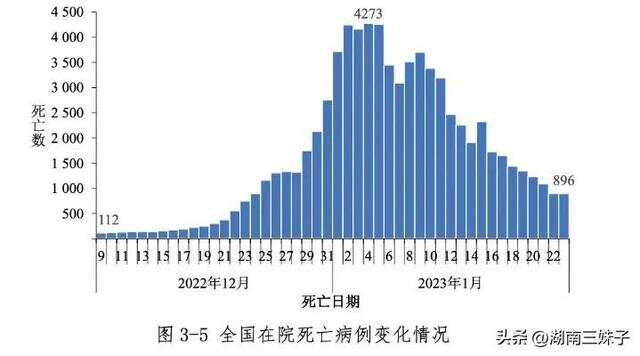 中国疫情死亡人数总数是多少人，全面审视与反思