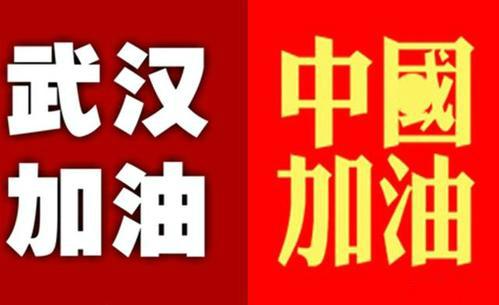 驰援武汉，众志成城，共克时艰