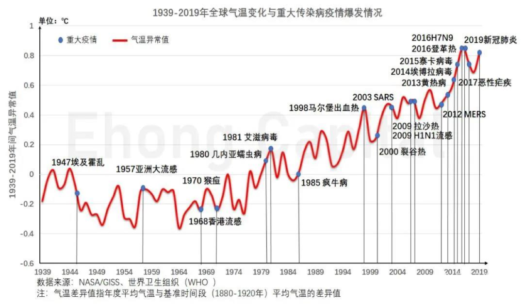 2019年疫情发展，从未知病毒到全球大流行的震撼历程