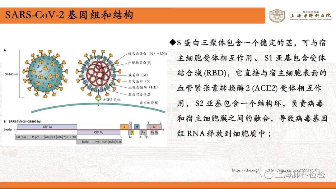 中国两次疫情时间变化，从SARS到COVID-19的应对与反思