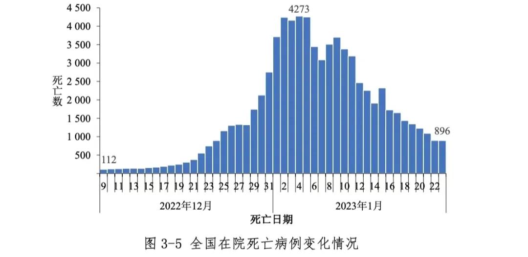 中国80年代的疫情挑战与应对策略