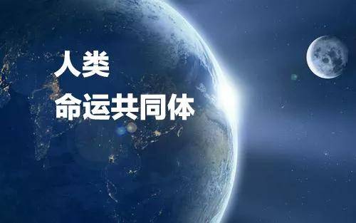 石正丽与新冠病毒，科学探索的勇敢之旅