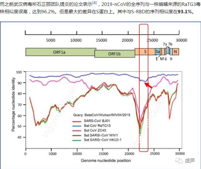 这次疫情是吃蝙蝠引起的吗？