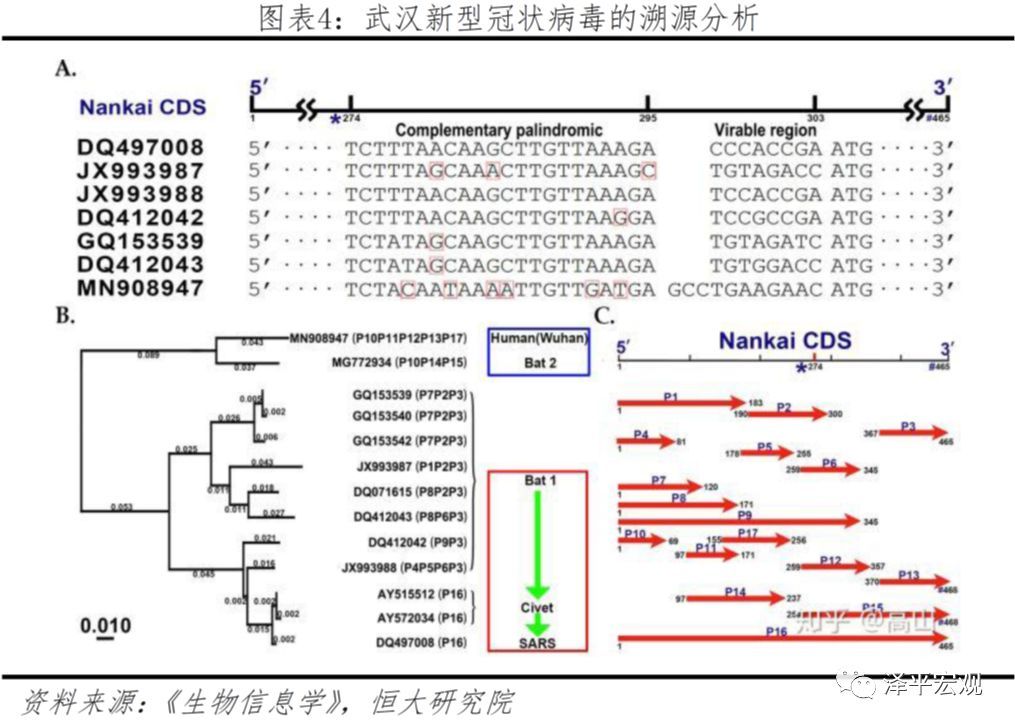 病毒在武汉爆发的原因，一场复杂的科学与社会学交织的考察